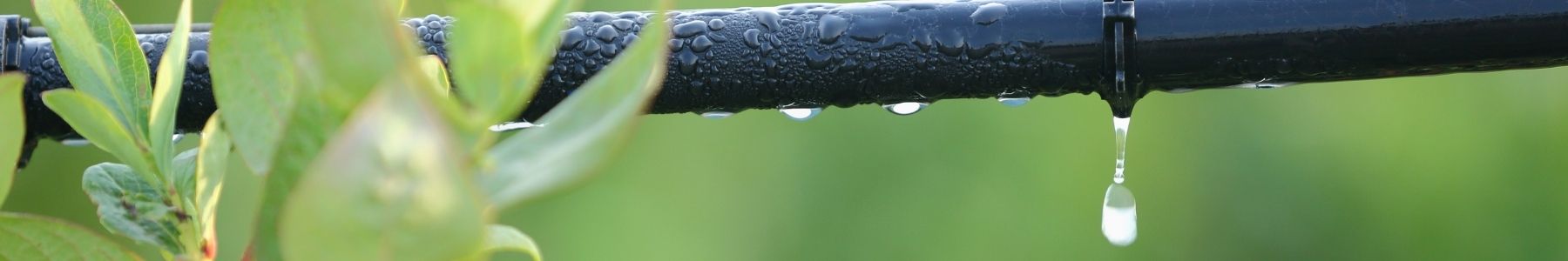 Cables, Wire and Electrical | Blue Bucket