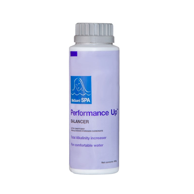 BioGuard Spa Performance Up Increase Alkalinity 500G