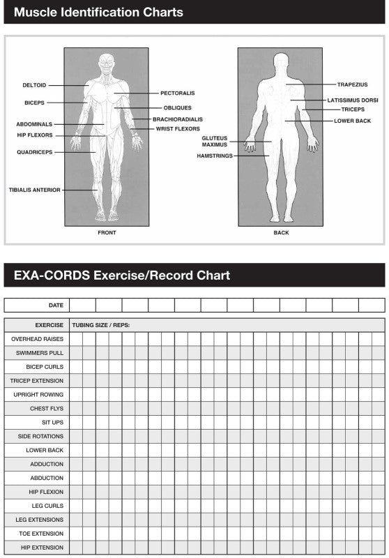 Eyeline Exa-Cords Dryland Training Modular Set