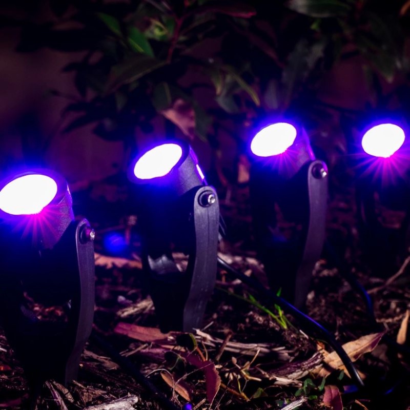 Holman RGB Colour Spotlight 43mm Value Pack