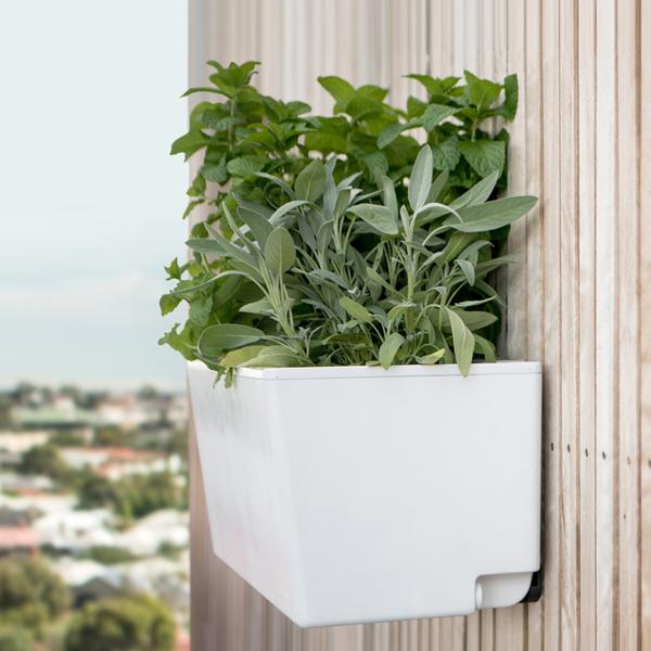 Glowpear Urban Garden Self Watering Wall Planter