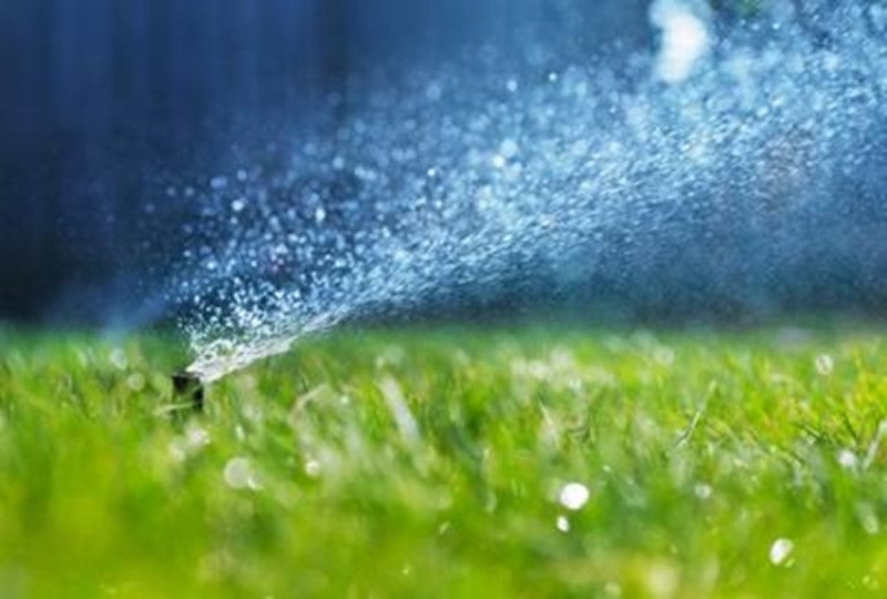 Who has the time to hand water your lawn?