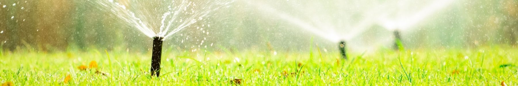 Sprinklers, Pop Ups and Drip Irrigation